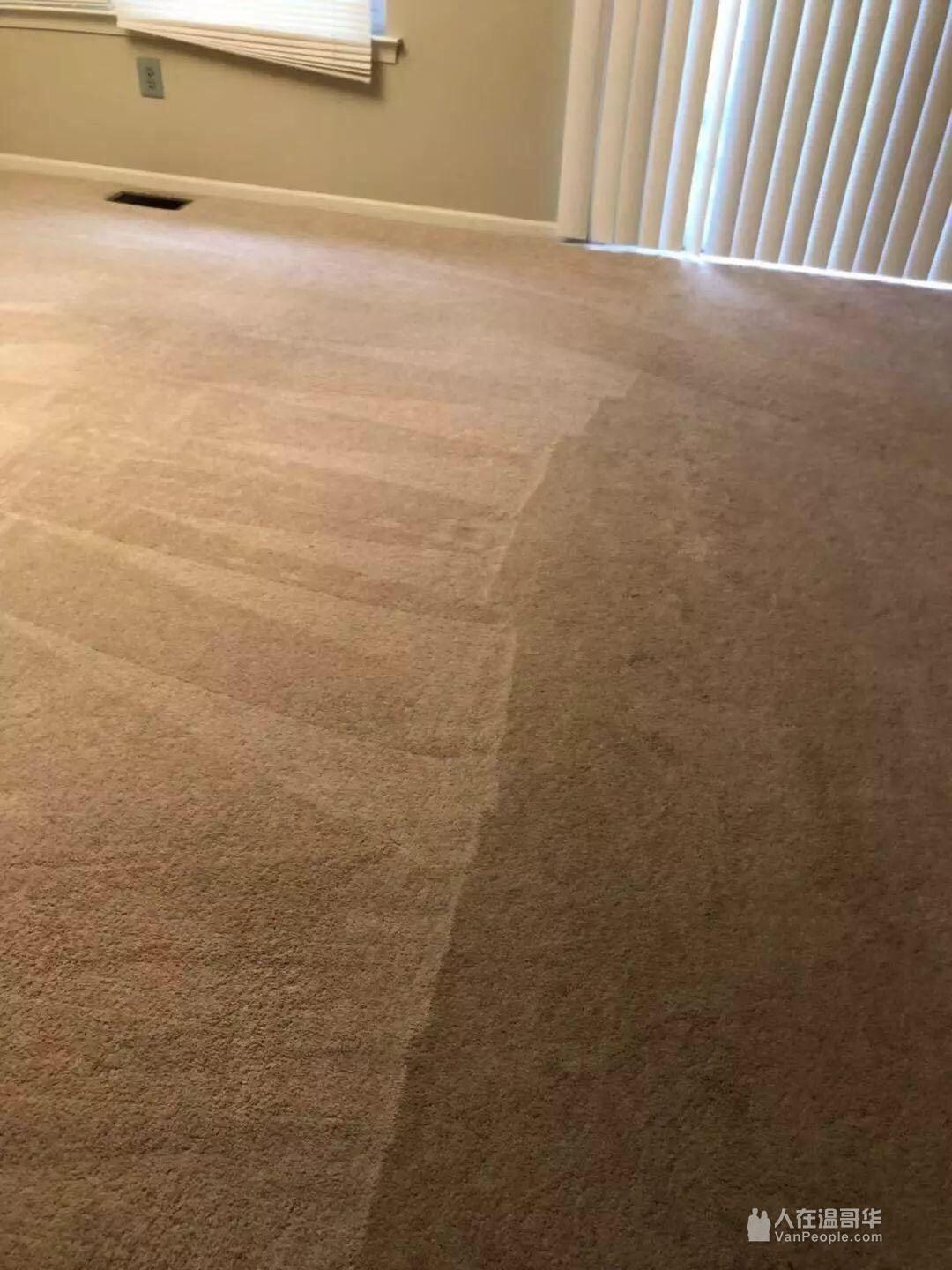 【好清洁】保洁公司全屋高效清洁杀菌地毯深度清洗除螨消毒竭诚为您提供优质放心的服务7789577228