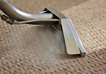 【家选】蒸汽地毯消毒清洗、高压清洗地面、房屋清洁、紫外线消毒等！认证技师 环保无毒！ 