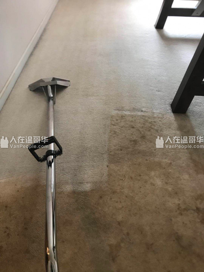 洁靓清洁 - 地毯蒸洗 房屋清洁 、垃圾清运、行李寄存、宠物托运等，微信预约更方便快捷