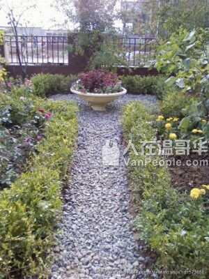 可收微信支付宝剪草30起,铲雪撒盐清理雨水槽 清理落叶，围栏维修草皮更换或种草种,草地杀虫 高