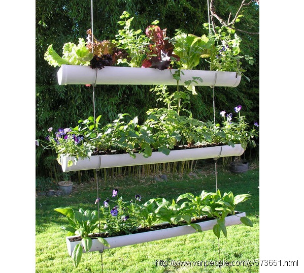 可收微信支付宝剪草30起,铲雪撒盐清理雨水槽 清理落叶，围栏维修草皮更换或种草种,草地杀虫 高