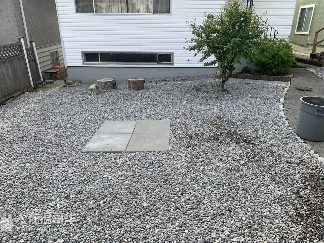 可收微信支付宝剪草30起,铲雪撒盐清理雨水槽 清理落叶，围栏维修草皮更换或种草种,草地杀虫 高