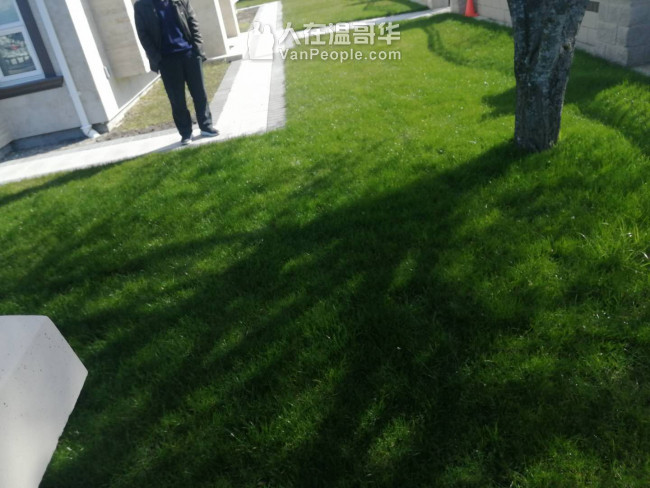 修建各式挡土墙。挖机工程平地回填。铺设水泥、沥青路面、砖面。砖砌贴砖，铺草坪植树等园艺，高压洗地洗房