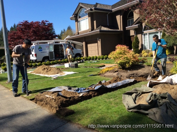 大温地区专业自动洒水系统庭院灯光公司，政府牌照，12年经验，大温地区专业花园自动洒水公司。花园洒水系