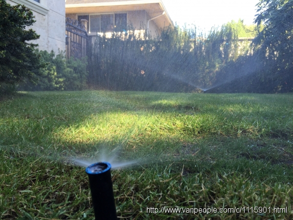 大温地区专业自动洒水系统庭院灯光公司，政府牌照，12年经验，大温地区专业花园自动洒水公司。花园洒水系