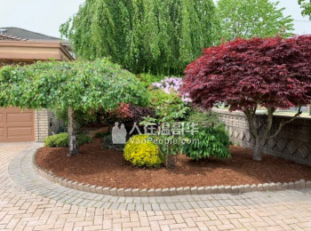 华翰园艺 花园整理、清理杂草、修剪花树、定期剪草、铺草皮、精打草根等各项园艺服务