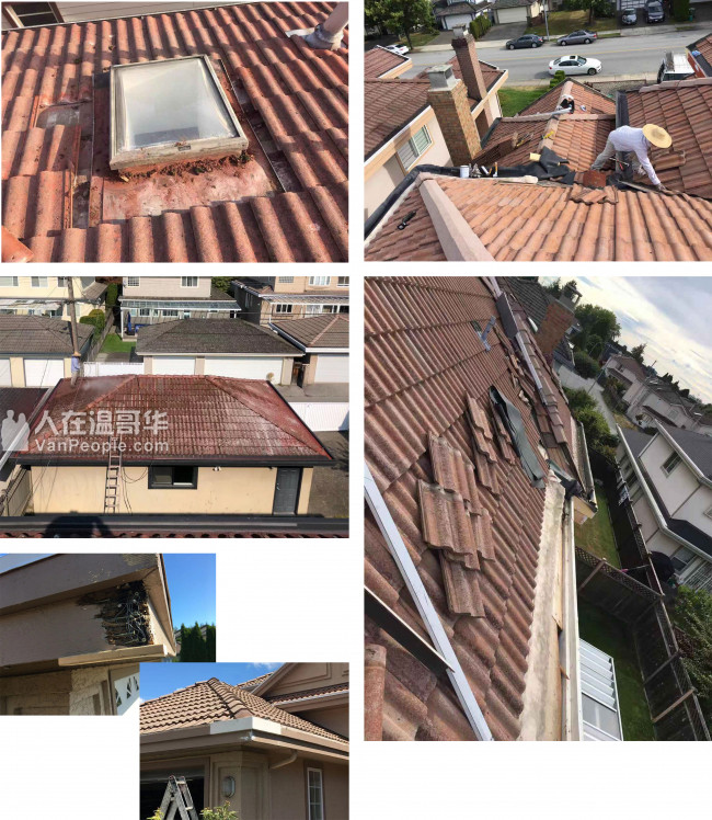 Pro_Fect Construction (完美装修公司）