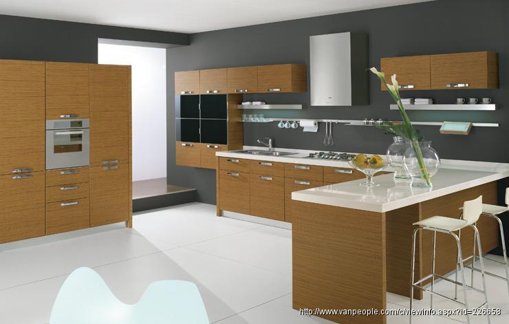 高贵林装修,质量保证,多年经验,价钱合理,免费估价!承接各类民用和商业室内外建筑项目,大温与菲莎河谷