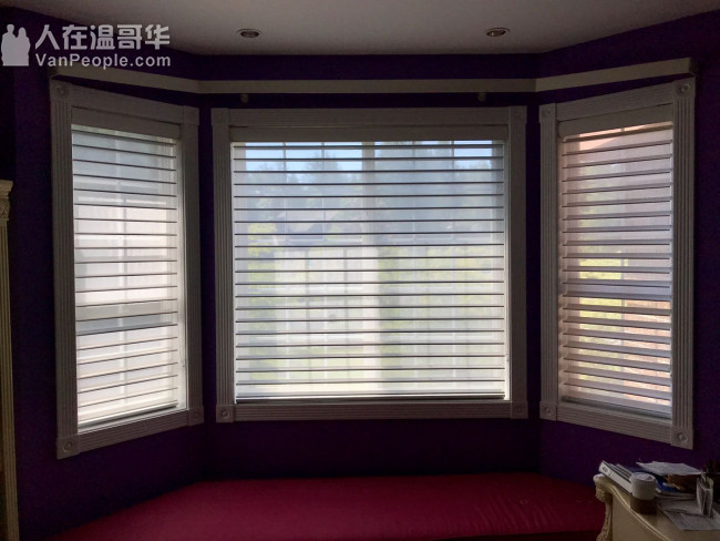 温哥华森然窗饰专业订做布艺窗帘百叶窗卷帘防蚊纱窗纱门