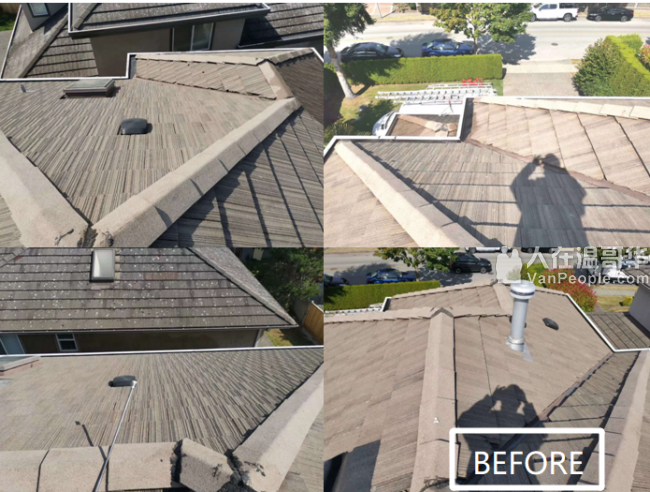 加家专业油漆----室内外及屋顶翻新、免费估价、过千满意客户案例