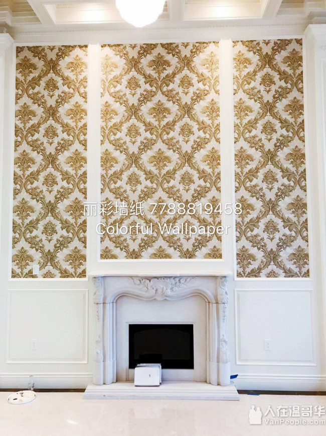 丽彩墙纸  美,欧,日,韩,中百万种款式及影音室软包 -专业墙纸设计,销售,安装团队 免费估价