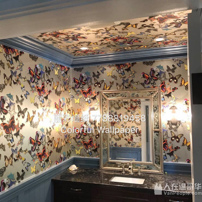 丽彩墙纸  美,欧,日,韩,中百万种款式及影音室软包 -专业墙纸设计,销售,安装团队 免费估价