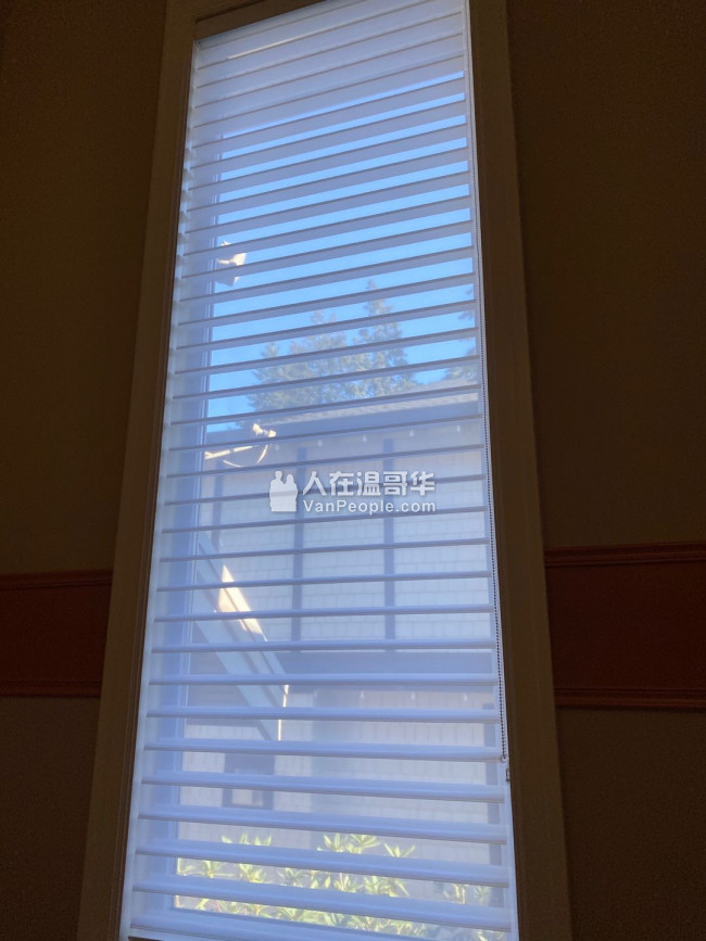 温哥华森然窗饰专业订做布艺窗帘百叶窗卷帘防蚊纱窗纱门