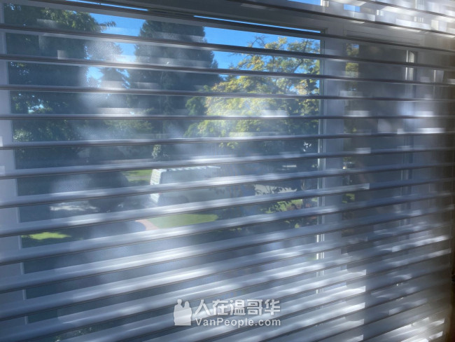 温哥华森然窗饰专业订做布艺窗帘百叶窗卷帘防蚊纱窗纱门