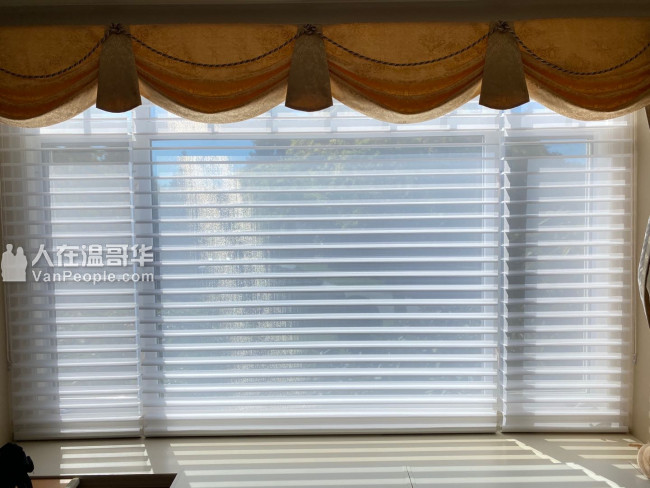 温哥华森然窗饰专业订做布艺窗帘百叶窗卷帘防蚊纱窗纱门
