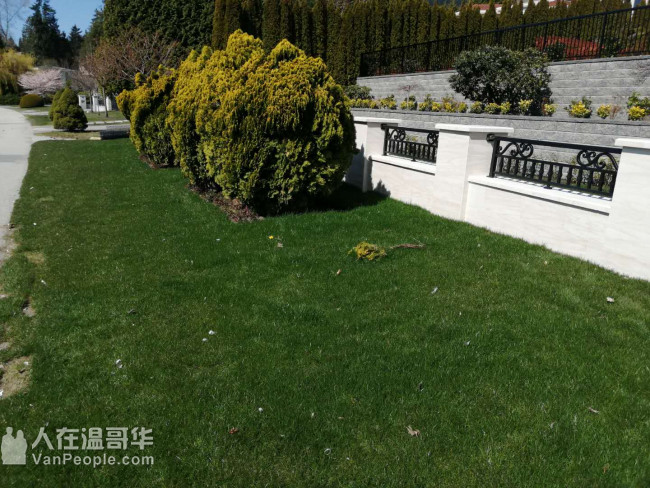 修建各式挡土墙。挖机工程平地回填。铺设水泥、沥青路面、砖面。砖砌贴砖，铺草坪植树等园艺，高压洗地洗房