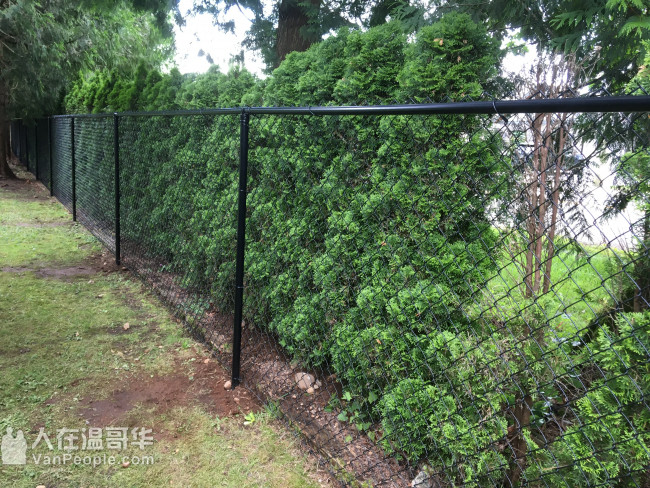 多年的专业庭园设计施工经验，服务包括铺地砖、砌挡土墙围墙、  建deck和上盖、筑沥青路和水泥路等