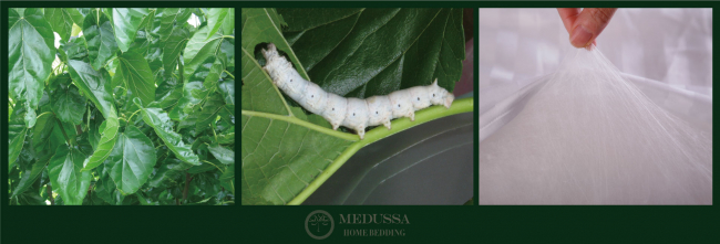 美杜莎MEDUSSA 轻奢床上用品, 精品【蚕丝被/真丝被套】【加拿大荞麦皮枕】【四件套】【羽绒被】