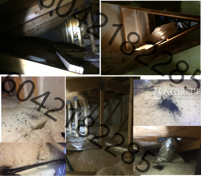 温哥华快通水电 包通渠 专治流水不畅 维修碎骨机 安装水龙头 /马桶/水泵/清水槽