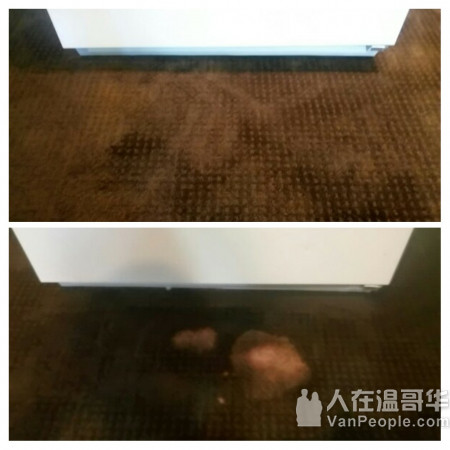 专业地毯安装及修补, carpet repair& installation