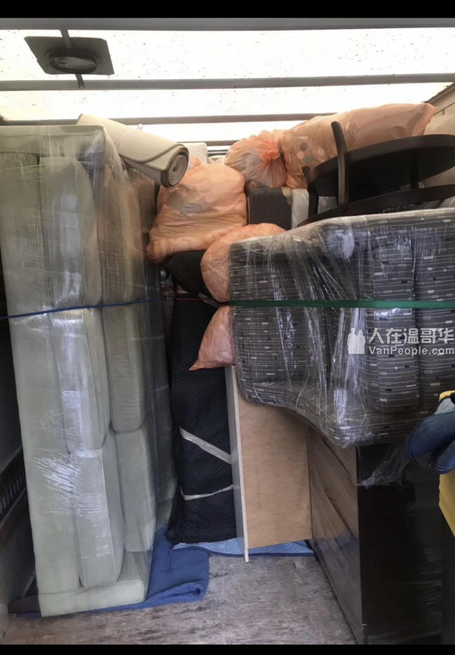 专业搬运，仓储，清洁，精搬钢琴，组装运输家具，装卸货柜，垃圾清理 。 