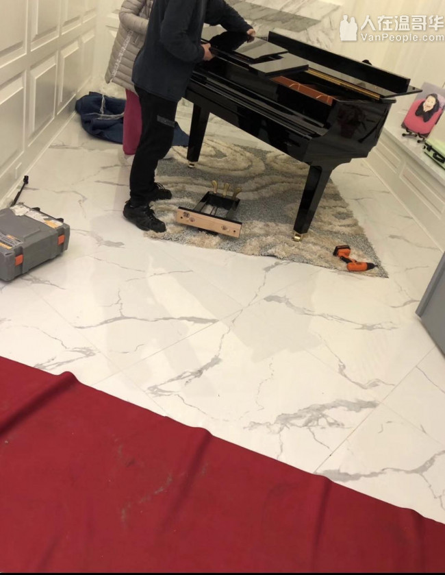 专业搬运，仓储，清洁，精搬钢琴，组装运输家具，装卸货柜，垃圾清理 。 