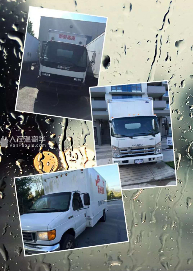 【新荣搬运】经验丰富 诚信负责 精搬钢琴 搬屋大专家 留学生有优惠