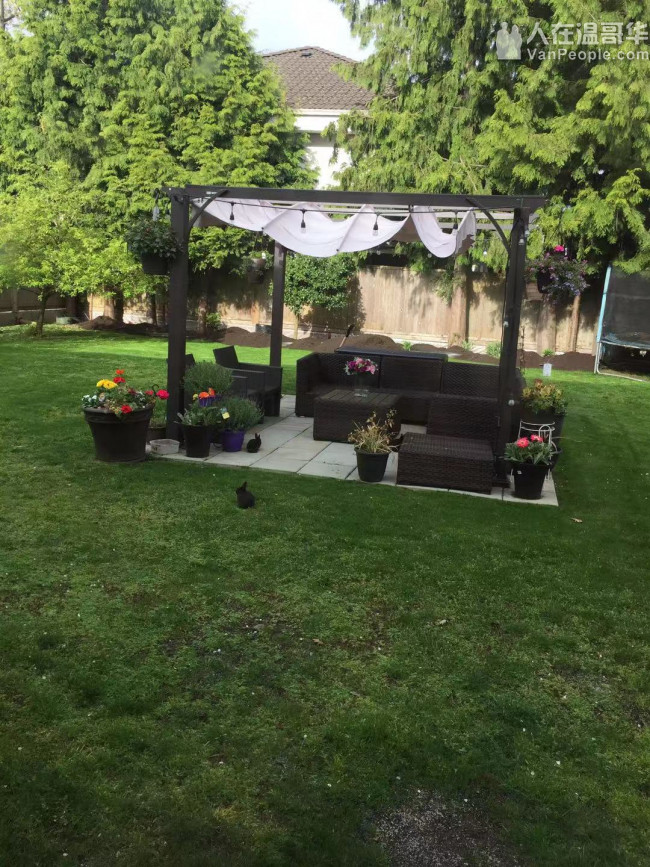 温哥华家庭旅馆，列治文豪华雅致别墅家庭旅馆，让你舒适到加！7788897779