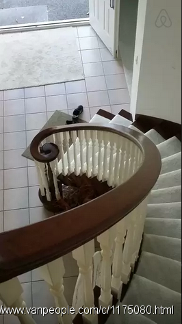 7星級新裝潢20000呎帝寶景觀花園別墅7600 呎 7間全衛浴