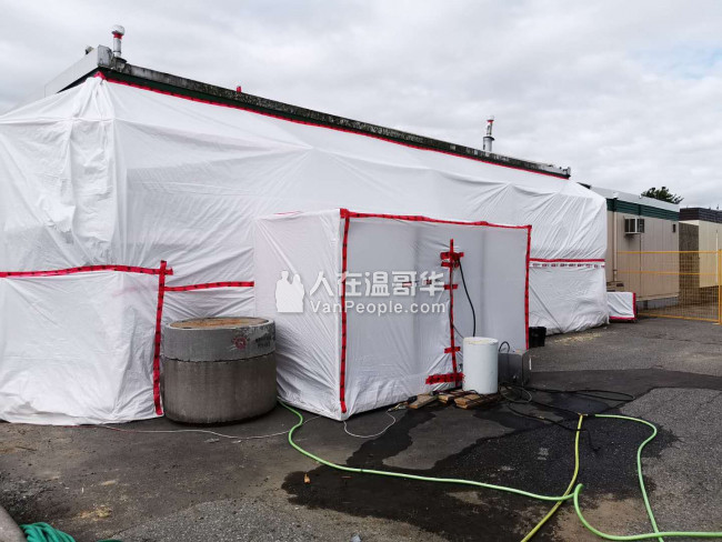 ！！！专业垃圾清理搬运+专业除霉菌服务！！！