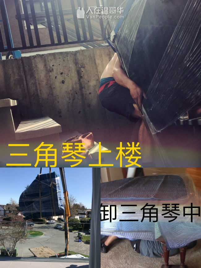 经验青壮，专业搬家，专注服务、各种大小搬运、拆装家具、垃圾清理 、精搬钢琴。高效快捷，绝对是您的第一