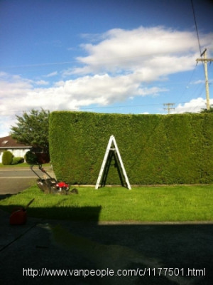 私人庭院專家：修樹 剪草 打草根 花園清理 高壓洗地 製作葡萄架 花園改造等工程