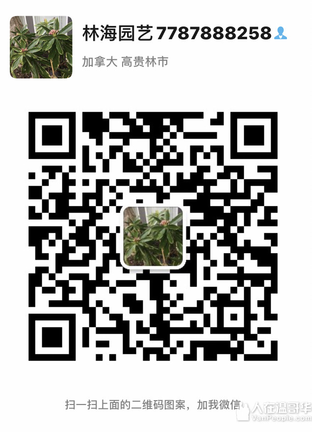 林海园艺：剪草  打草根  打气孔  修树种树  清运垃圾   修建fence等