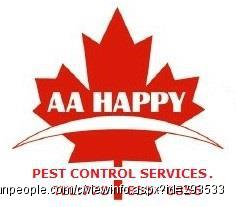 温哥华都市杀虫灭鼠公司，为您解决老鼠，蟑螂，臭虫，蚂蚁，黄蜂等害虫之忧